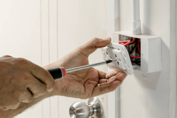 Best Electrical Remodeling Services  in Sauk Centre, MN